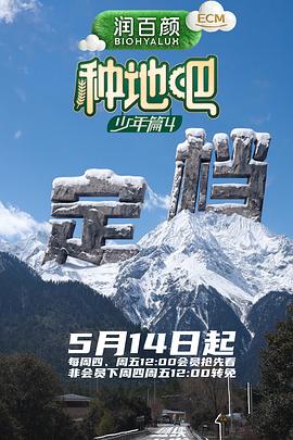 这个杀手不太冷 517影视 经典犯罪